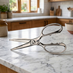 Detachable Kitchen Shears Wholesale